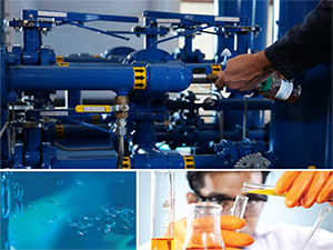 ALS program overview